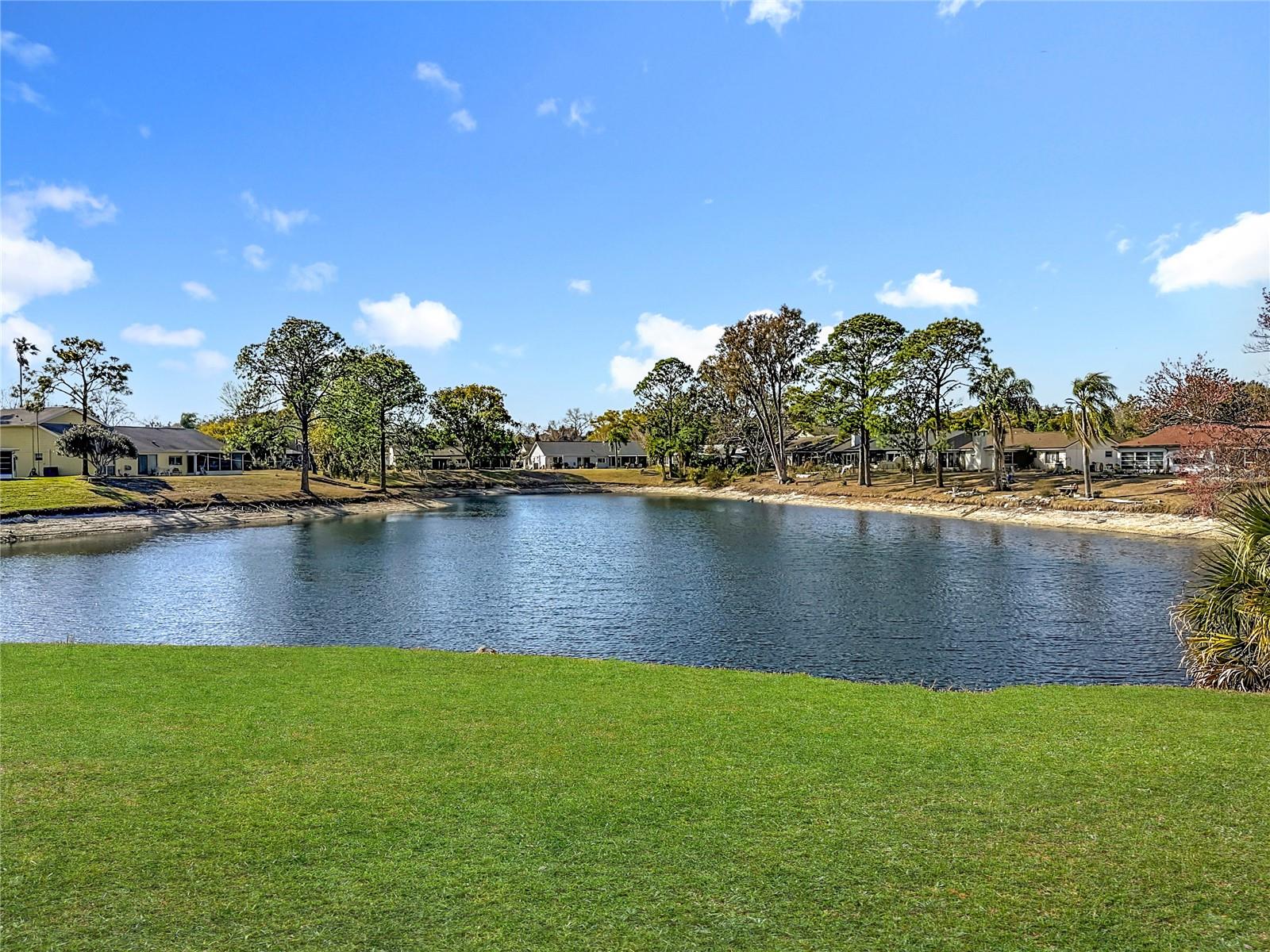 Image 50 of 71 For 12303 Fieldstone Lane