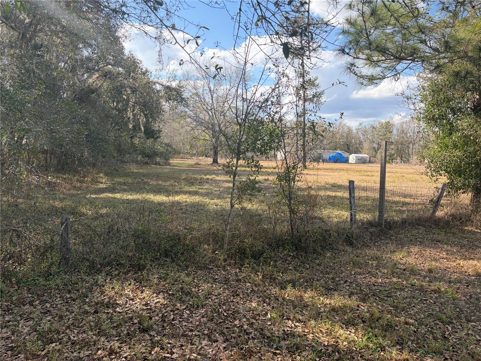 Listing photo id 30 for 6905 Pearson Lane