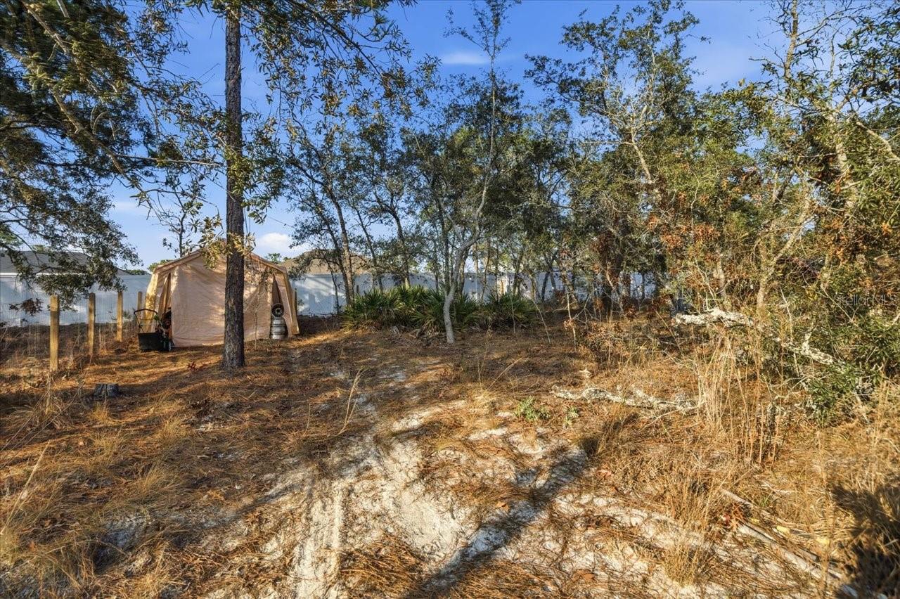 Image 53 of 54 For 12015 Phoenix Avenue