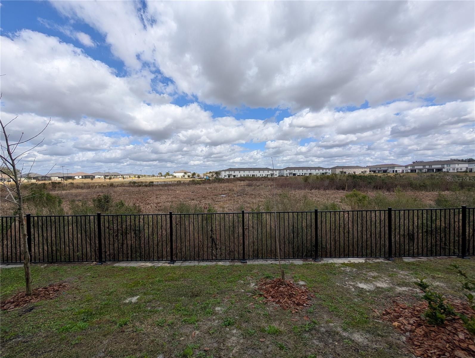 Image 31 of 31 For 32021 Spiceberry Street