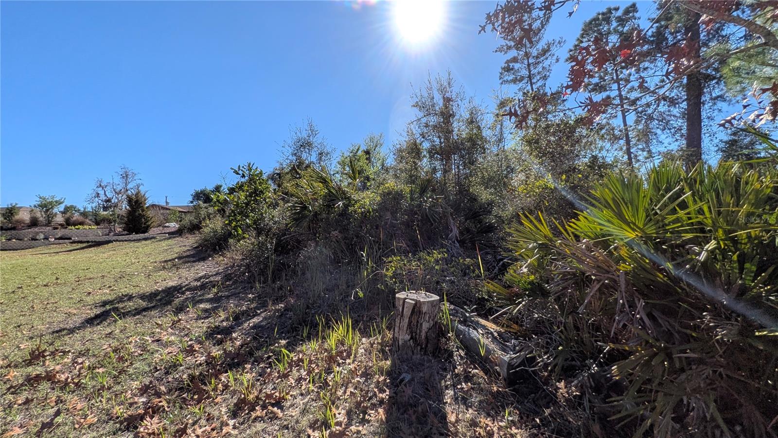 Image 5 of 11 For 13014 Hanley Drive