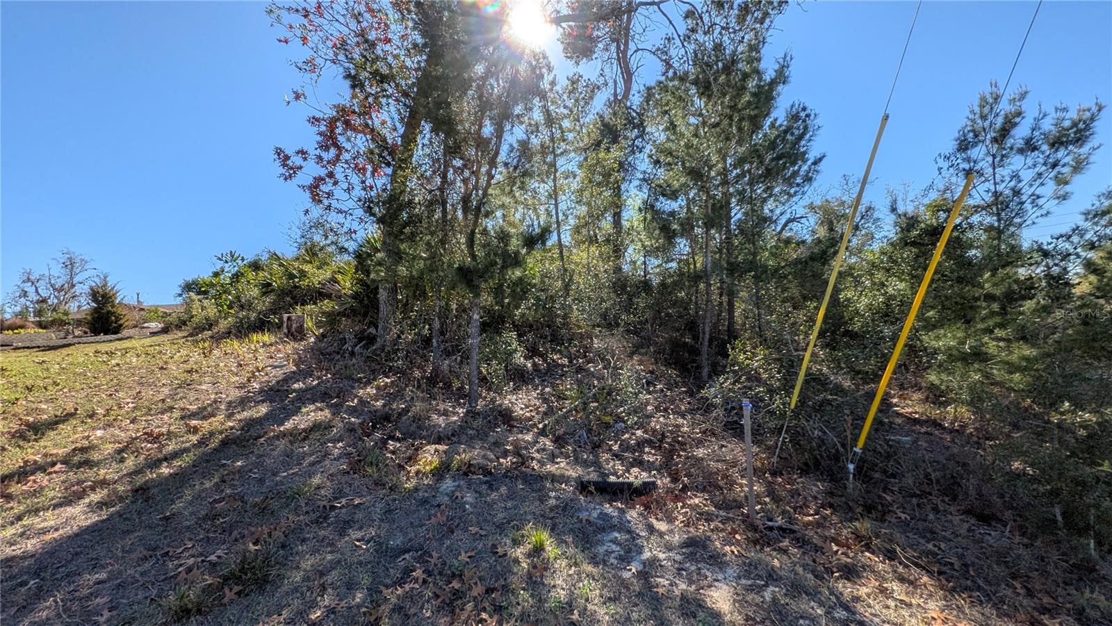 Image 6 of 11 For 13014 Hanley Drive