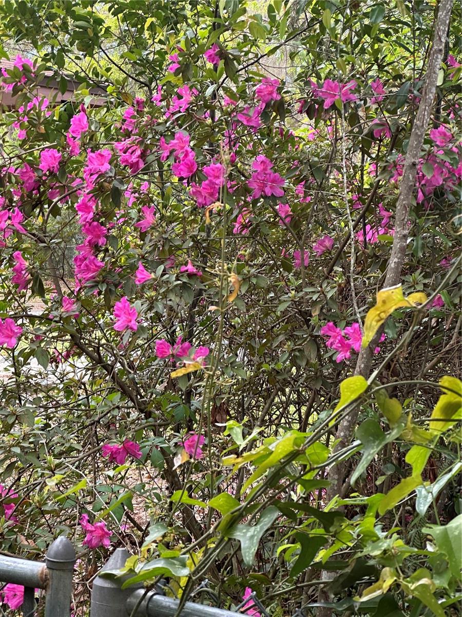 Image 25 of 28 For 5301 25th Place