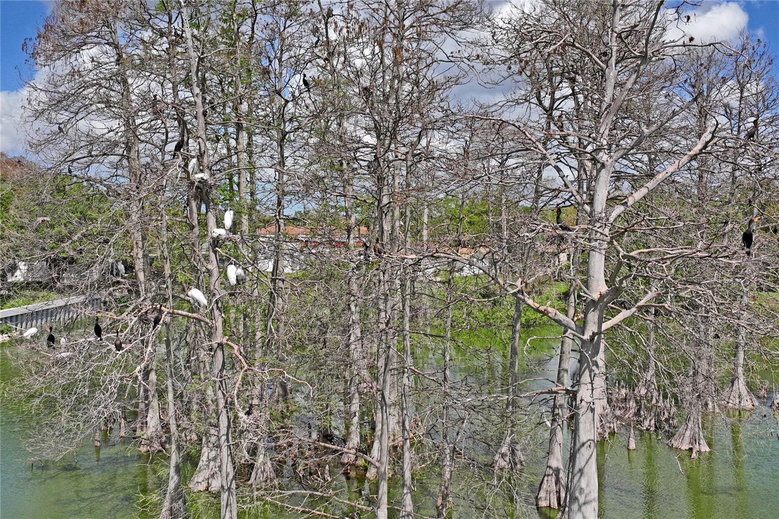 Image 72 of 80 For 3817 Erin Brook Drive