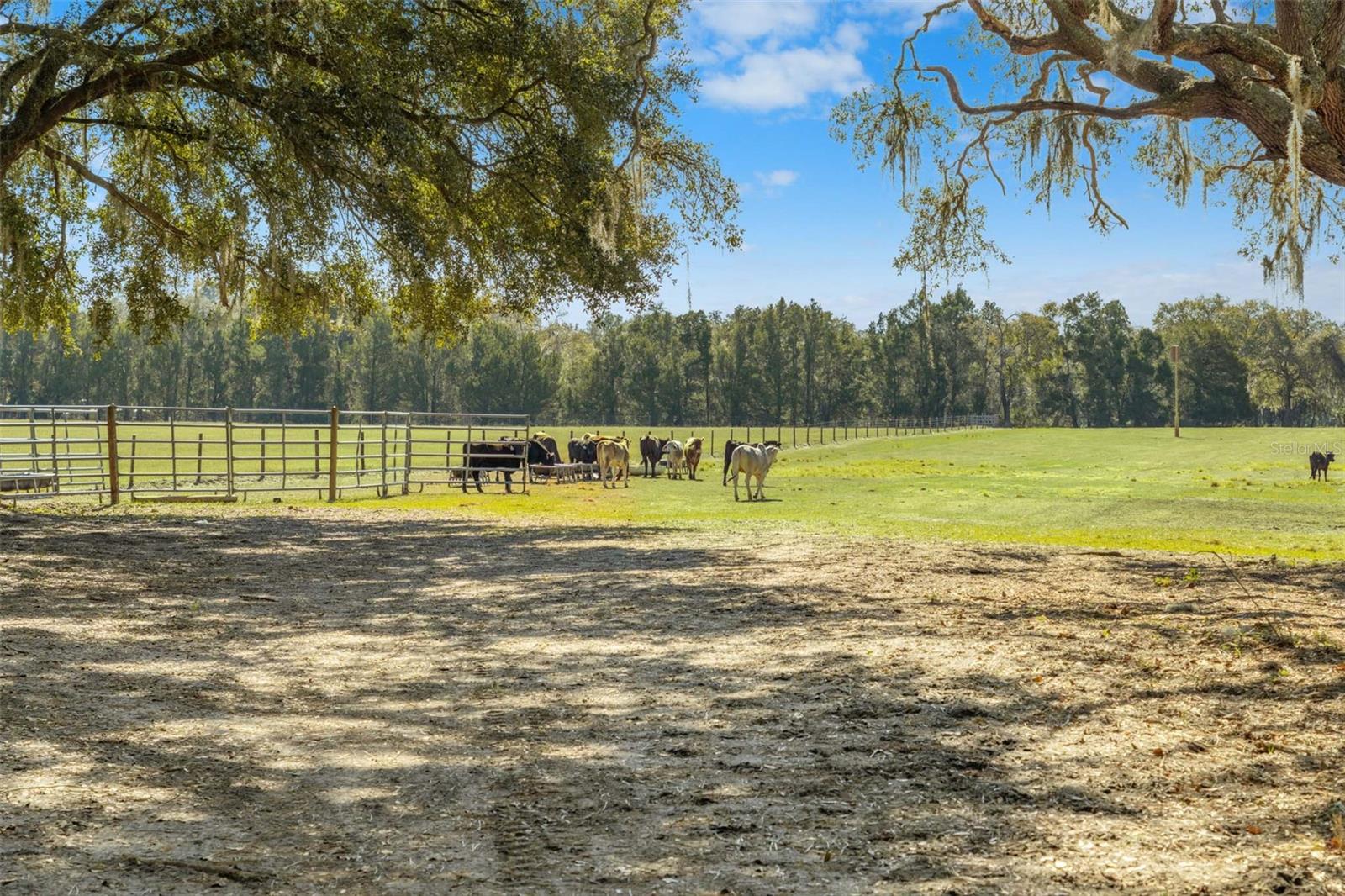 Listing photo id 12 for Lake Erie Road