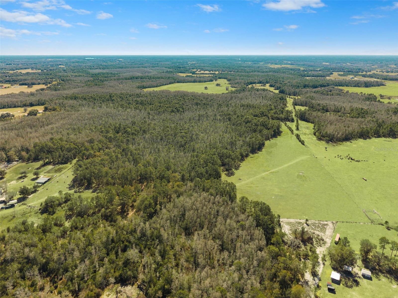 Listing photo id 13 for Lake Erie Road