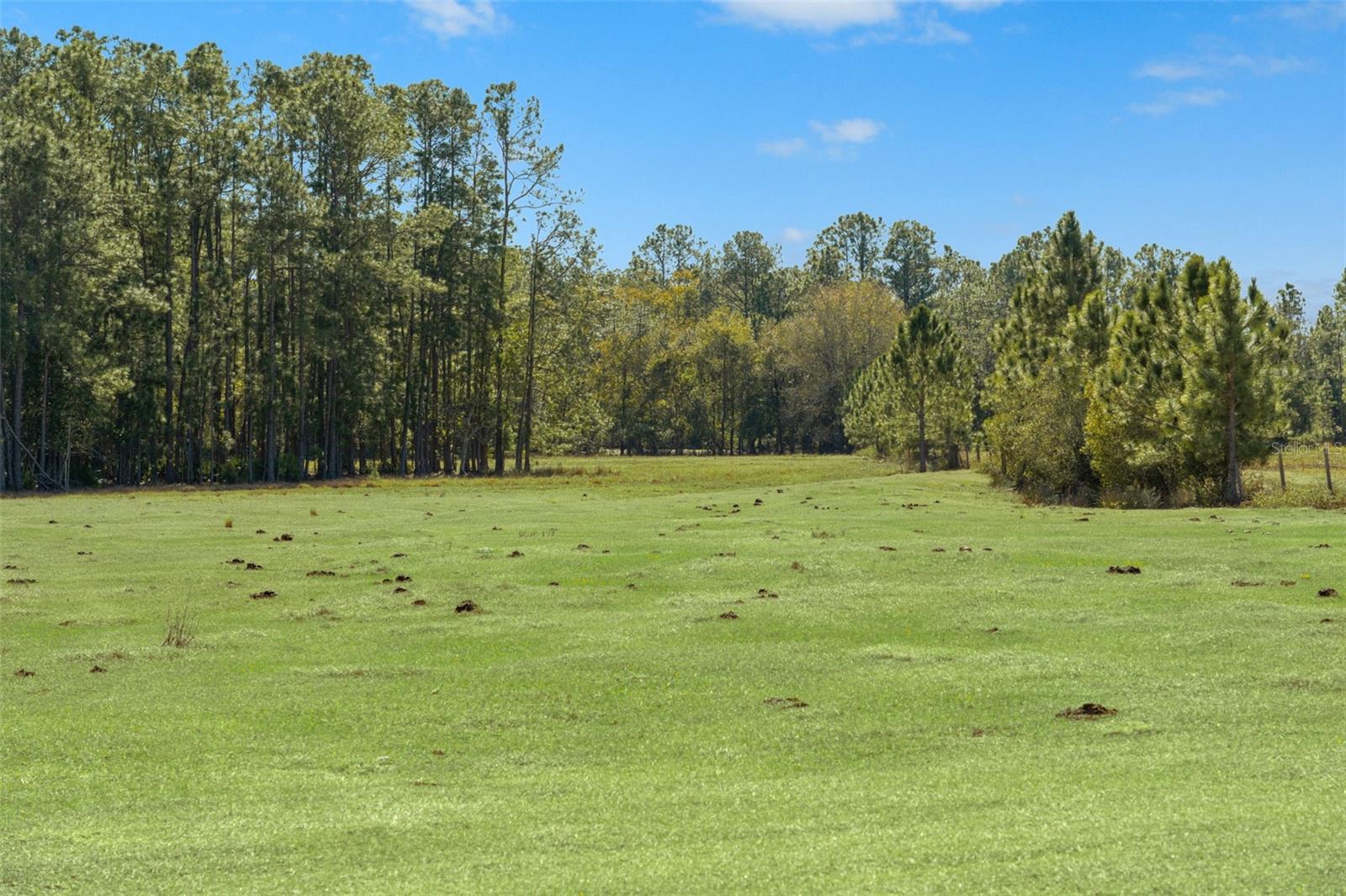 Listing photo id 18 for Lake Erie Road