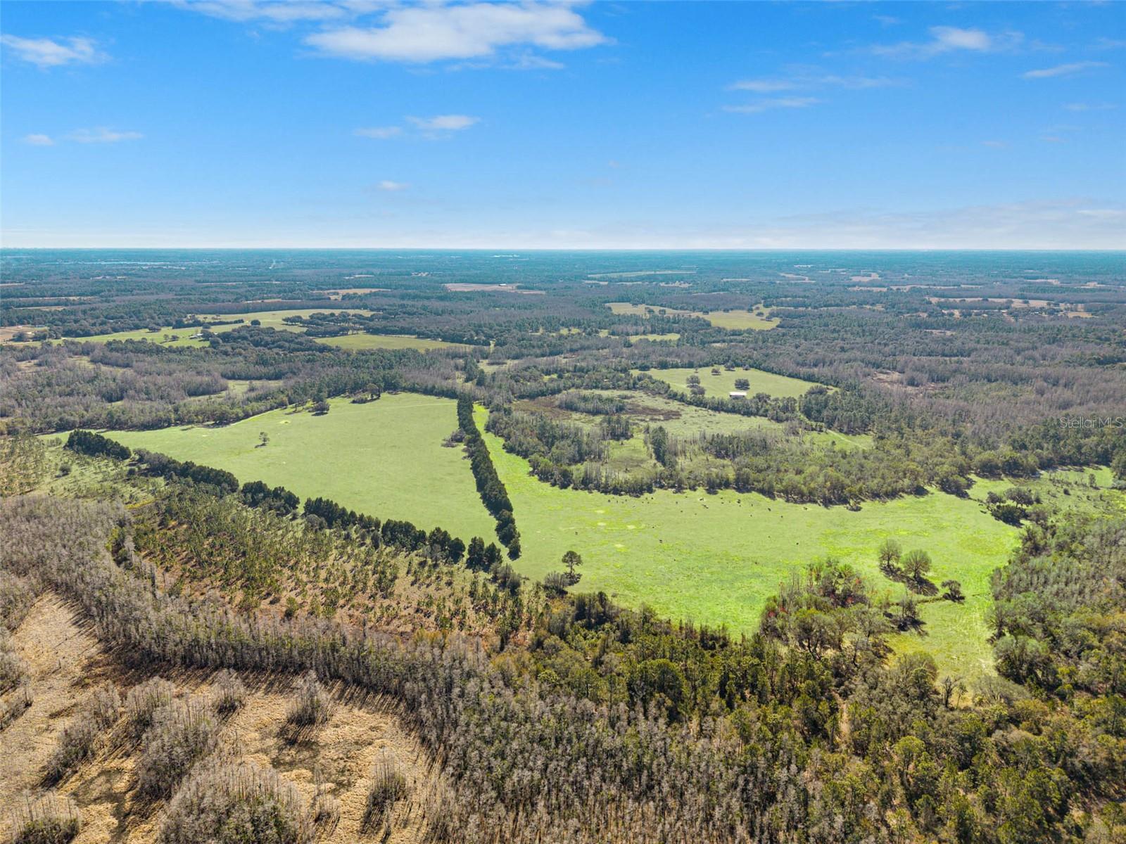 Listing photo id 20 for Lake Erie Road