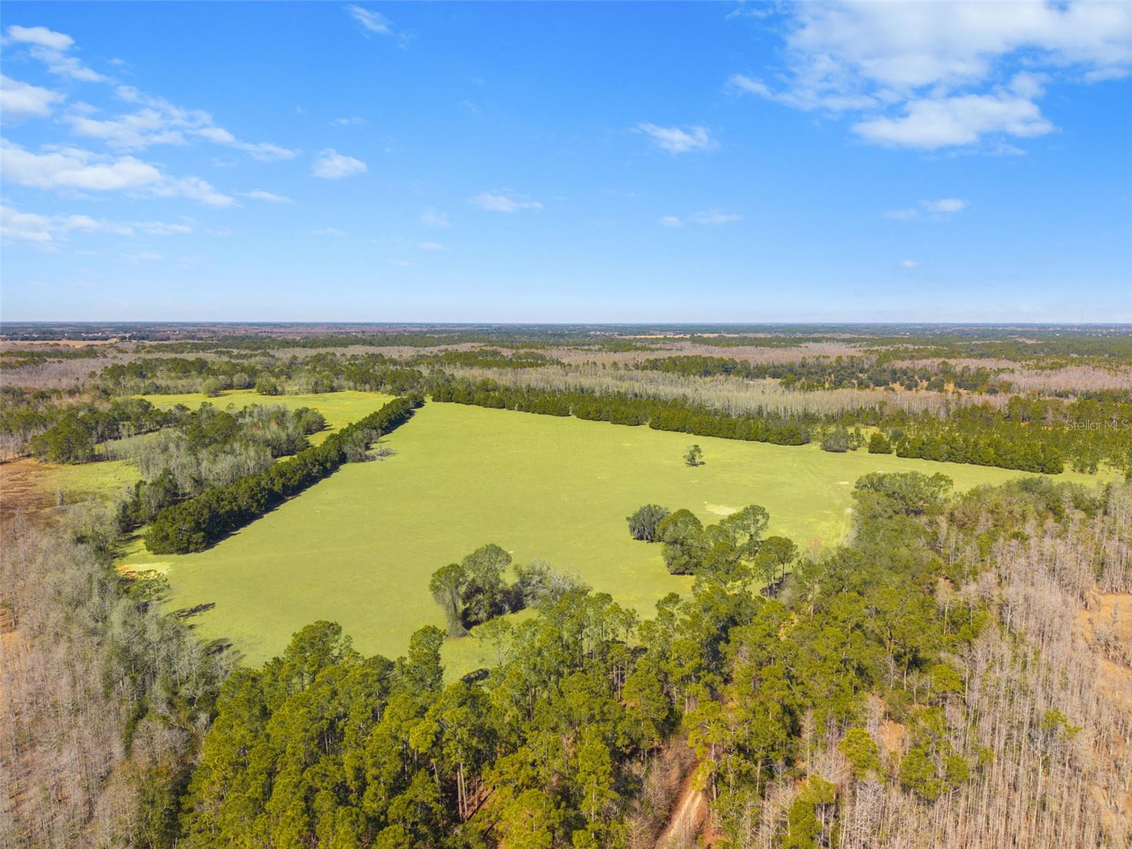 Listing photo id 3 for Lake Erie Road