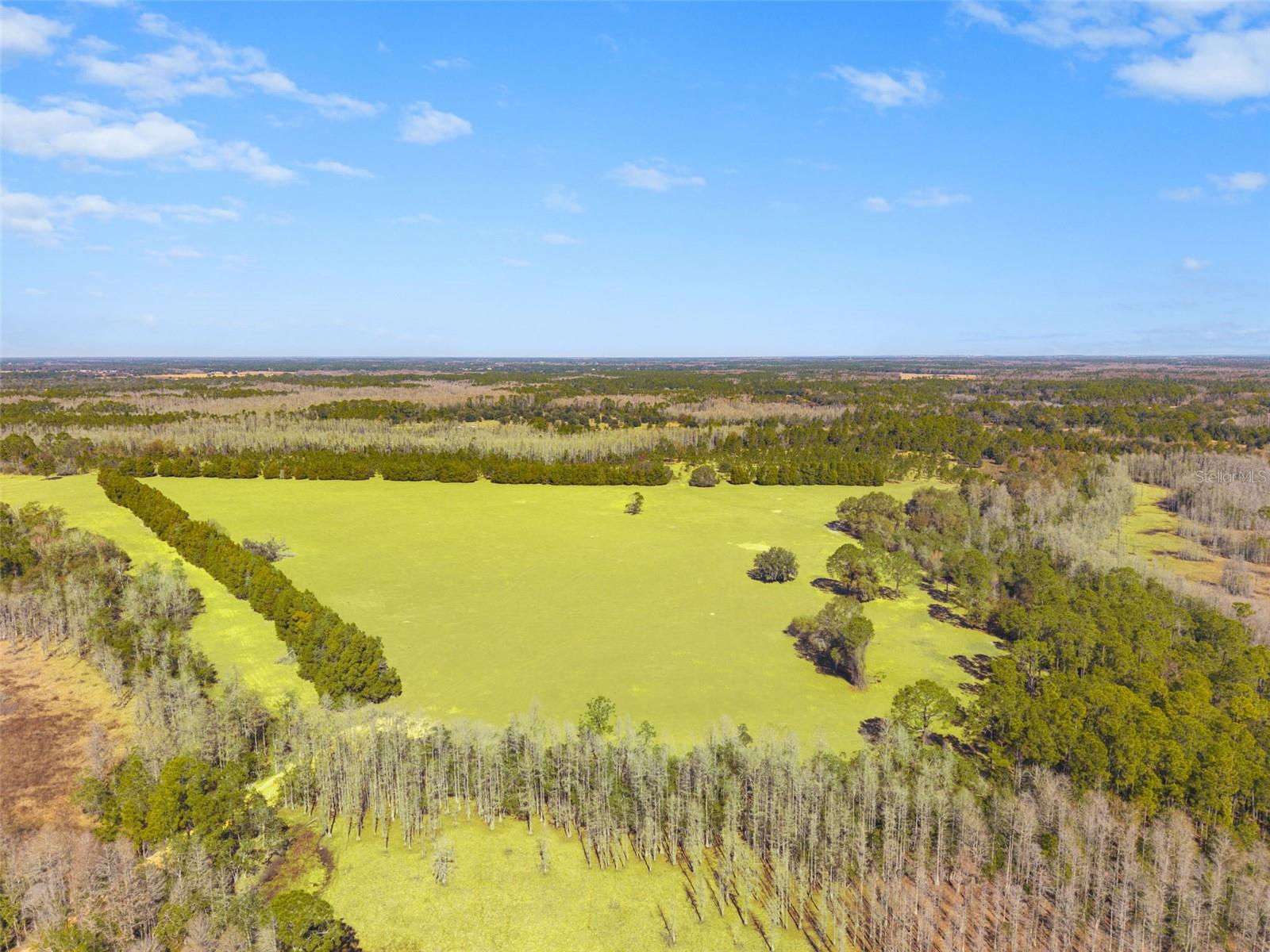 Listing photo id 4 for Lake Erie Road