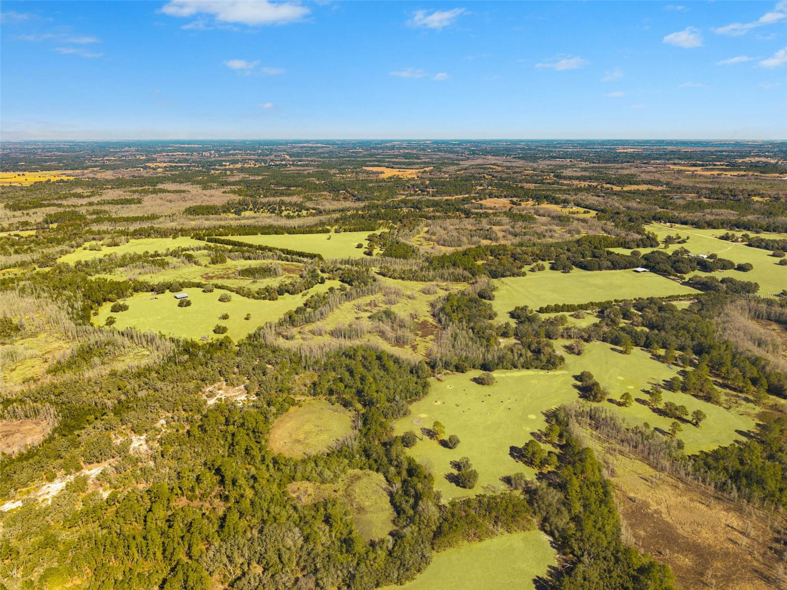 Listing photo id 5 for Lake Erie Road