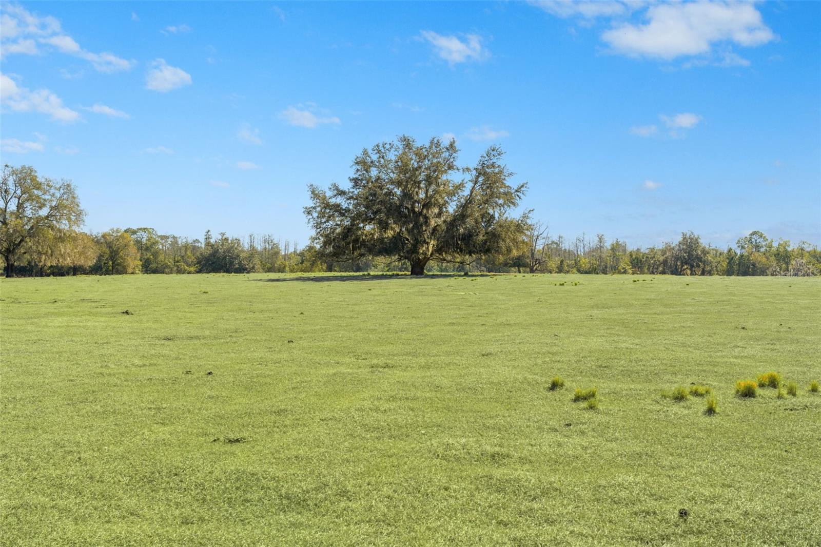 Listing photo id 6 for Lake Erie Road