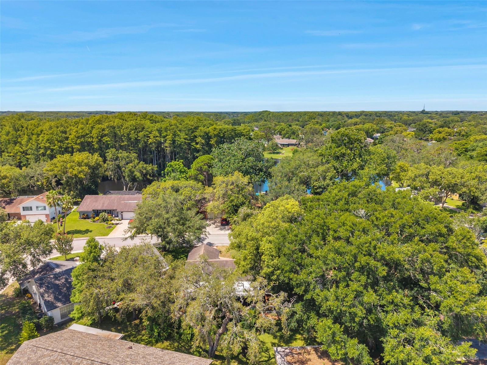 Image 54 of 65 For 8803 Mill Creek Lane