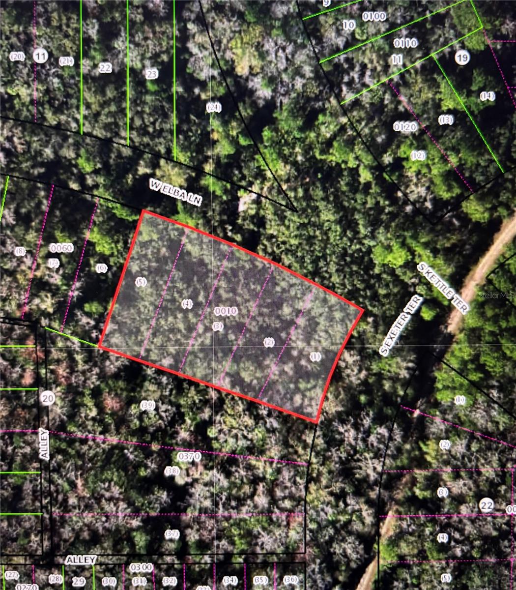 Details for 8748 Elba Place, HOMOSASSA, FL 34448