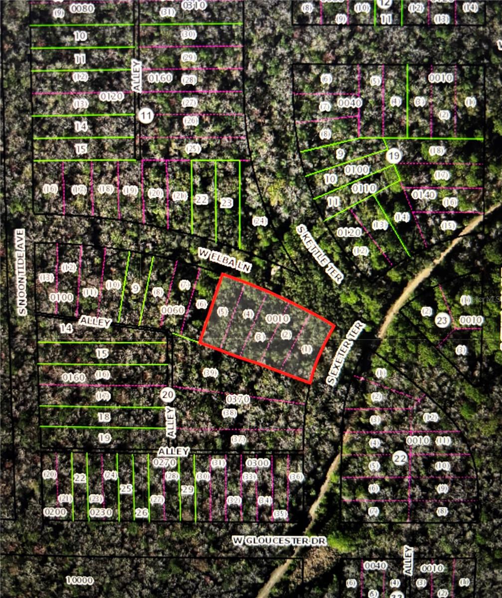 Image 6 of 9 For 8748 Elba Place