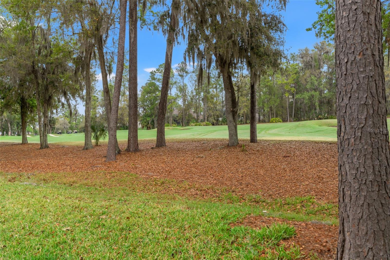 Image 50 of 96 For 19571 Lily Pond Court