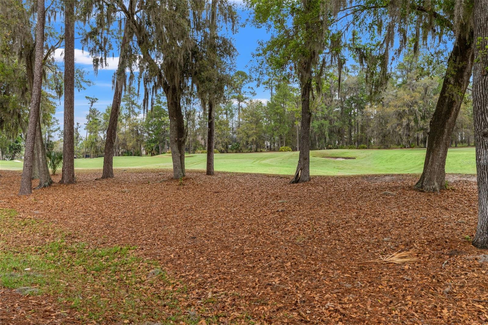 Image 51 of 96 For 19571 Lily Pond Court