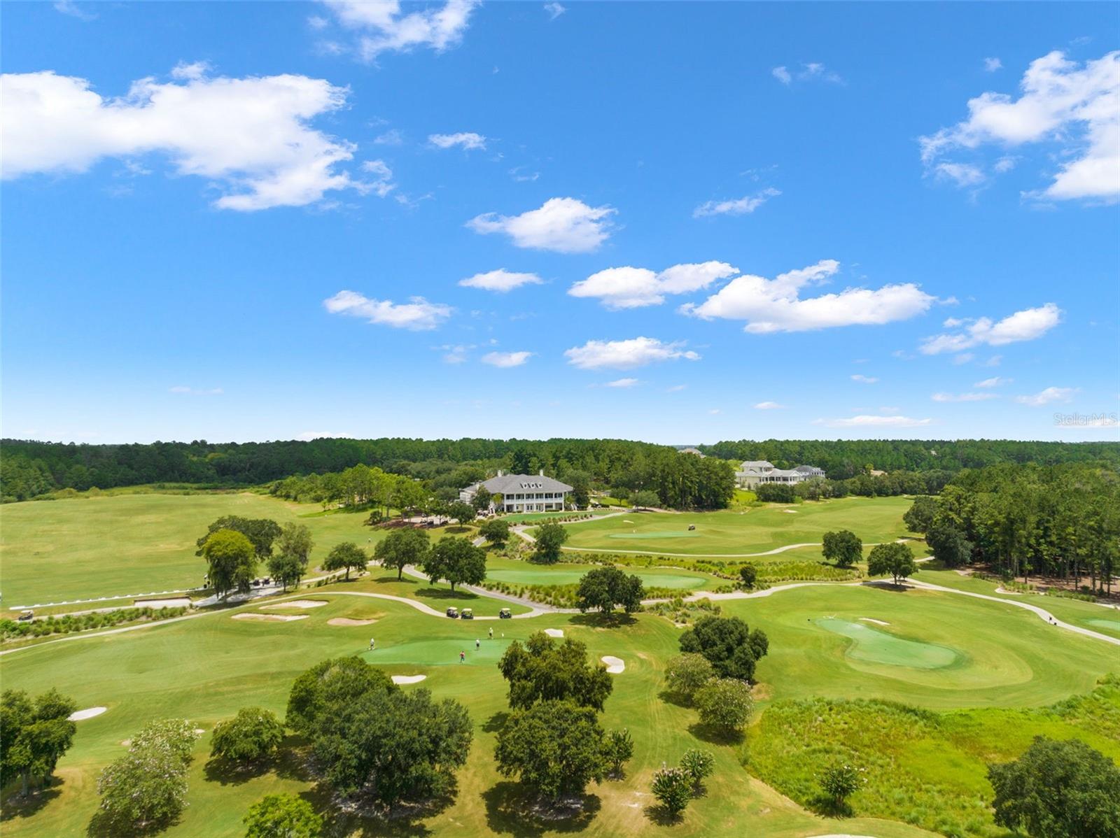 Image 79 of 96 For 19571 Lily Pond Court