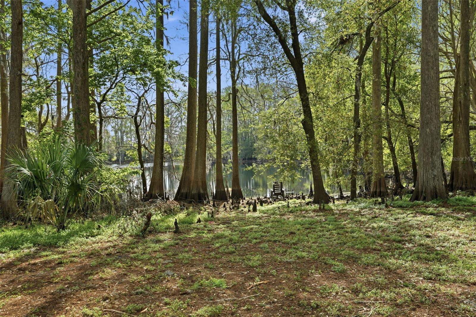 Image 22 of 38 For 8604 Cameo Drive