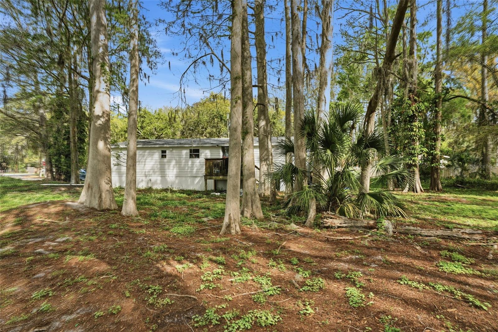 Image 23 of 38 For 8604 Cameo Drive