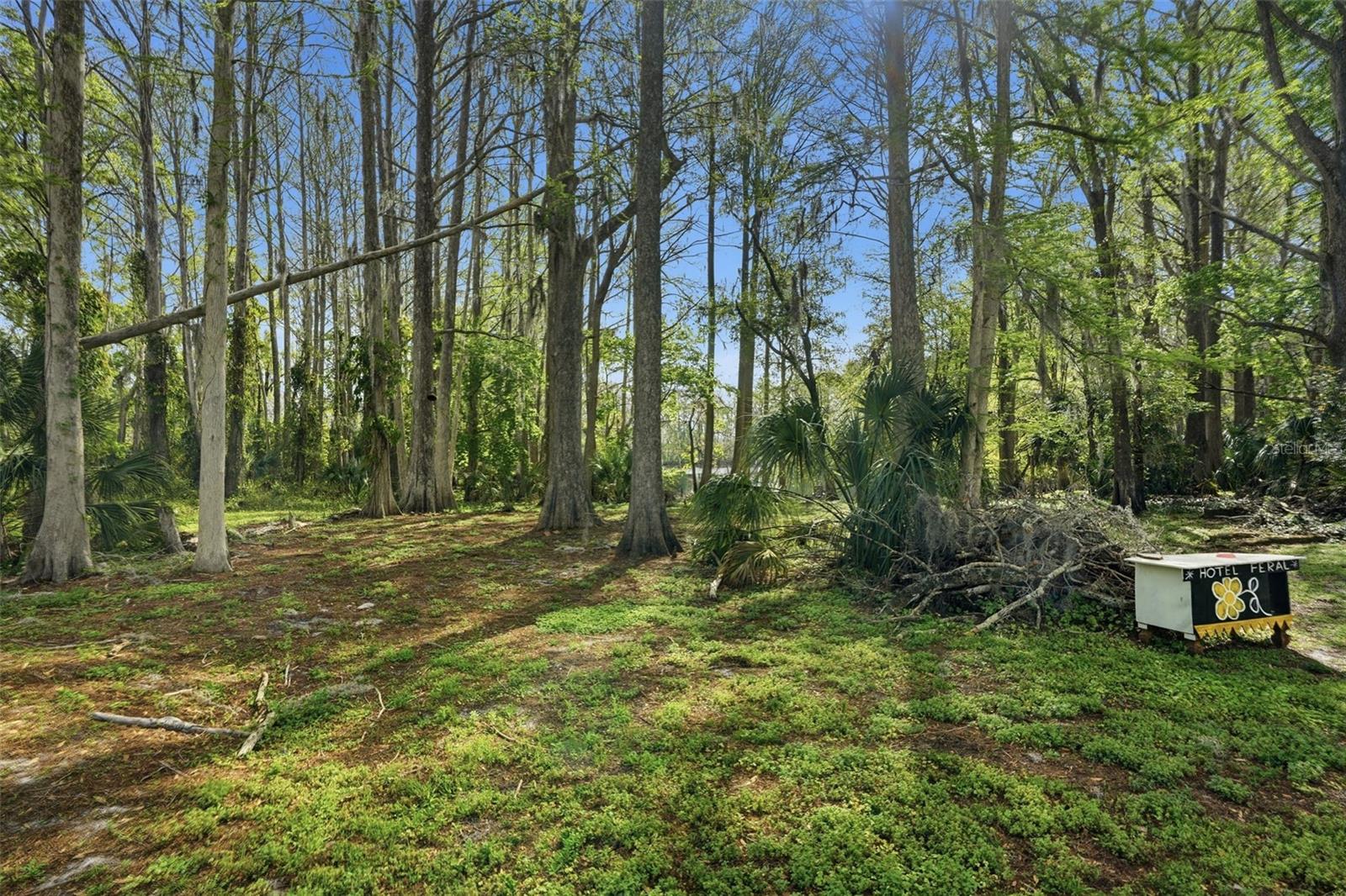 Image 25 of 38 For 8604 Cameo Drive