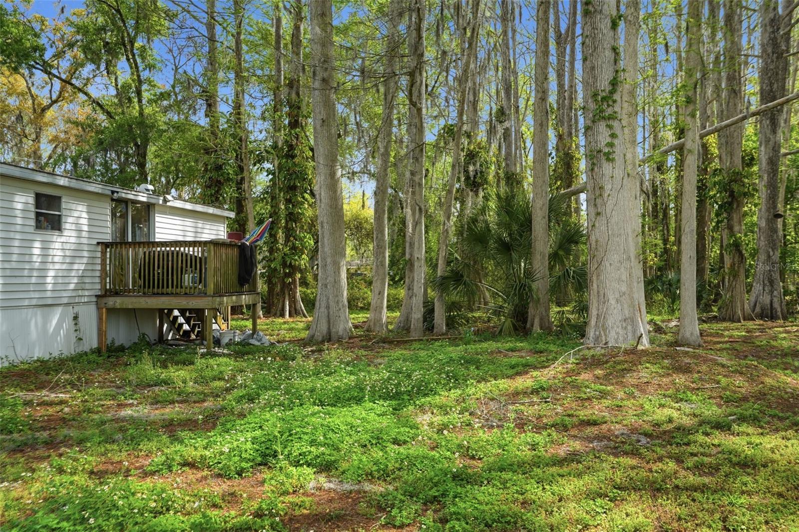 Image 26 of 38 For 8604 Cameo Drive