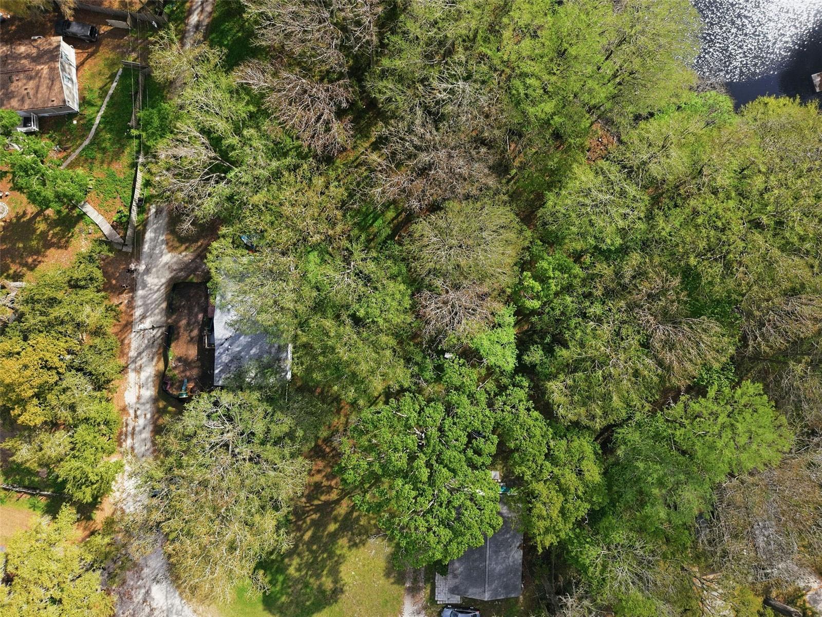 Image 36 of 38 For 8604 Cameo Drive