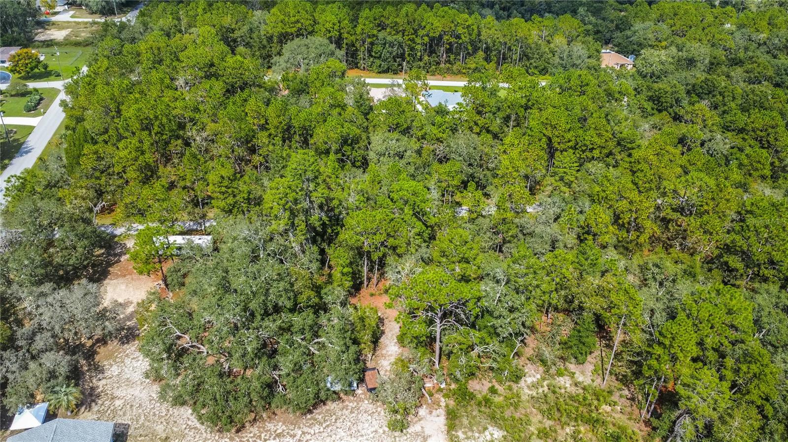 Image 16 of 21 For 3210 Michael Street