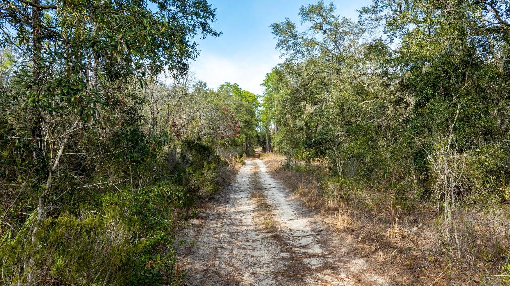 Listing photo id 5 for  90th Street 