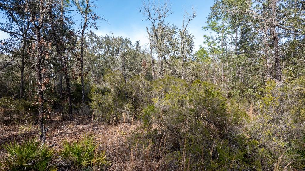 Listing photo id 6 for  90th Street 