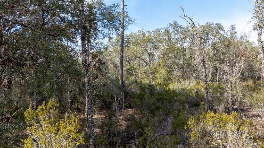 Listing photo id 7 for  90th Street 