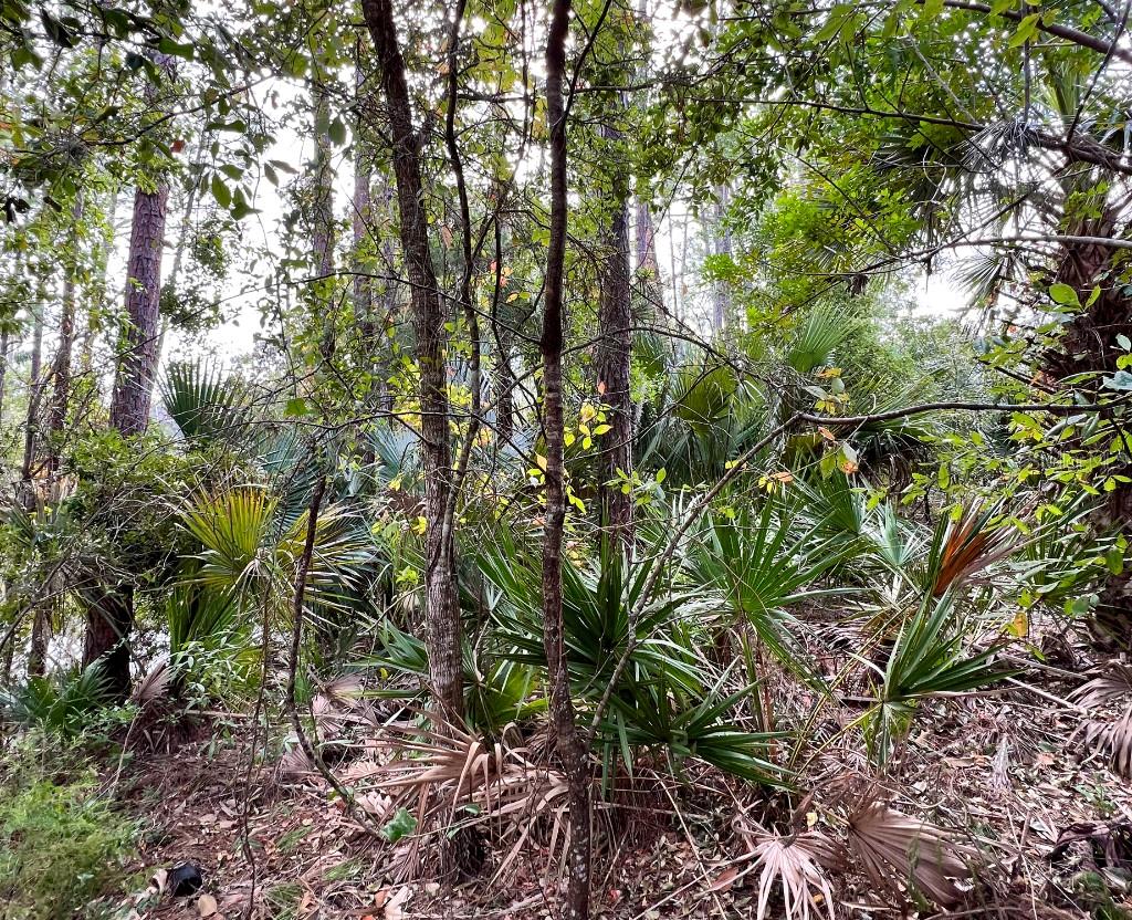 Image 16 of 19 For 18 Watermill Place