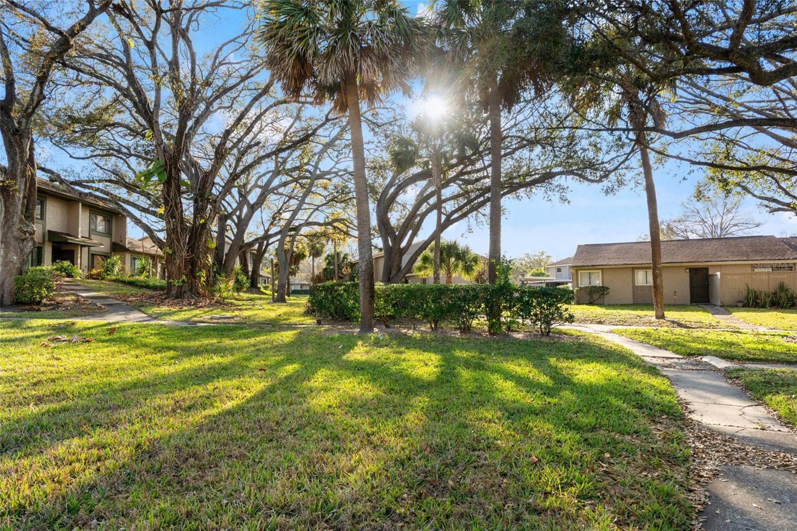 Image 48 of 57 For 7902 Citrus Drive 254