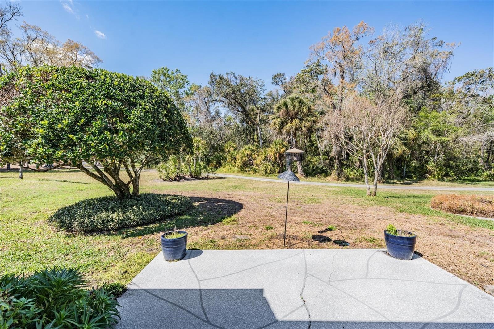 Image 26 of 46 For 9525 Springmeadow Drive