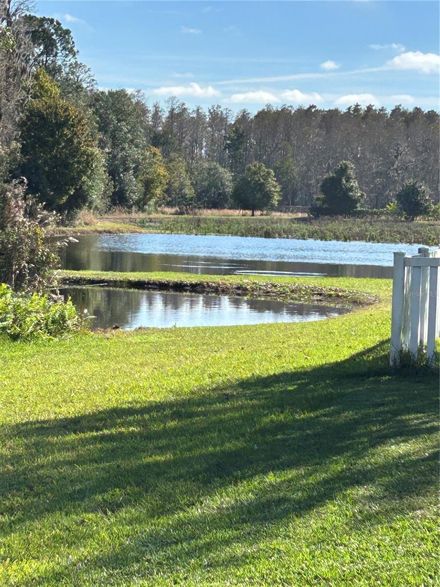 Image 36 of 42 For 11695 Crestridge Loop