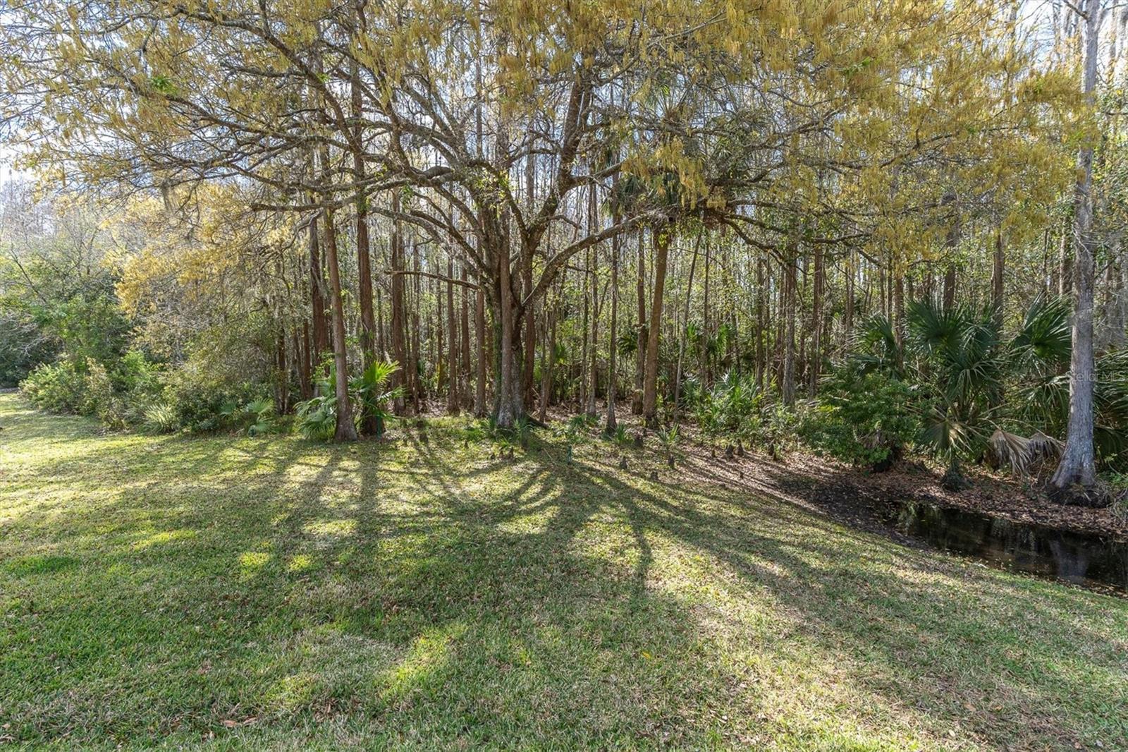 Image 43 of 60 For 1105 Arlinbrook Drive