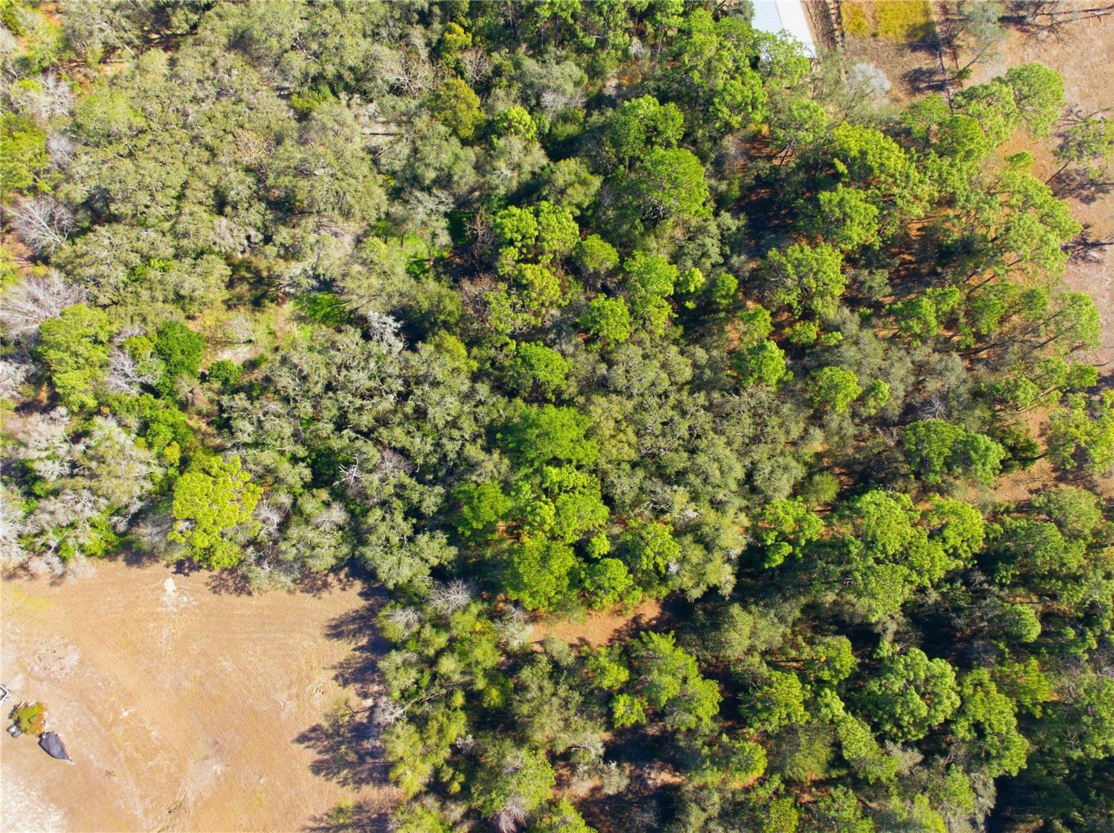 Image 13 of 16 For 0 Barclay Avenue