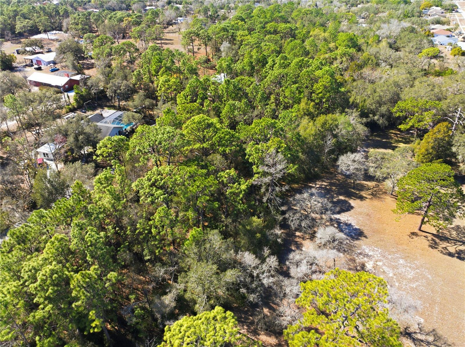 Image 7 of 16 For 0 Barclay Avenue