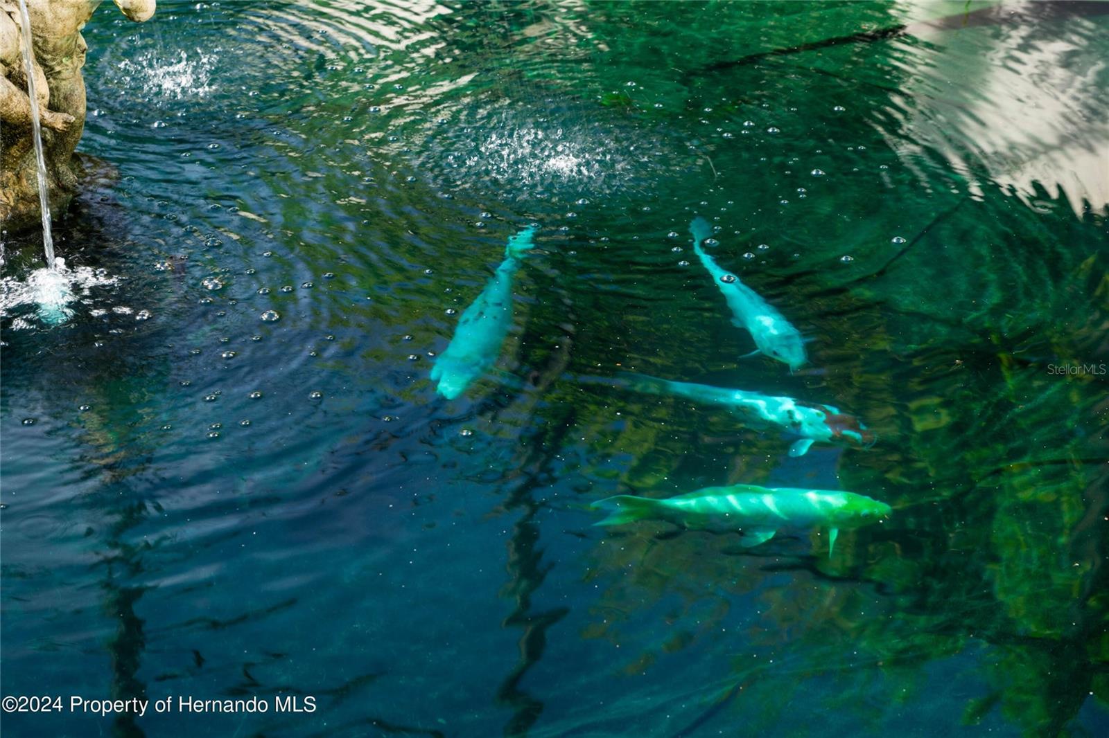 Image 40 of 49 For 11915 Riverhaven Drive