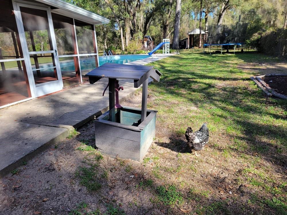 Image 20 of 36 For 34307 Shaffer Drive