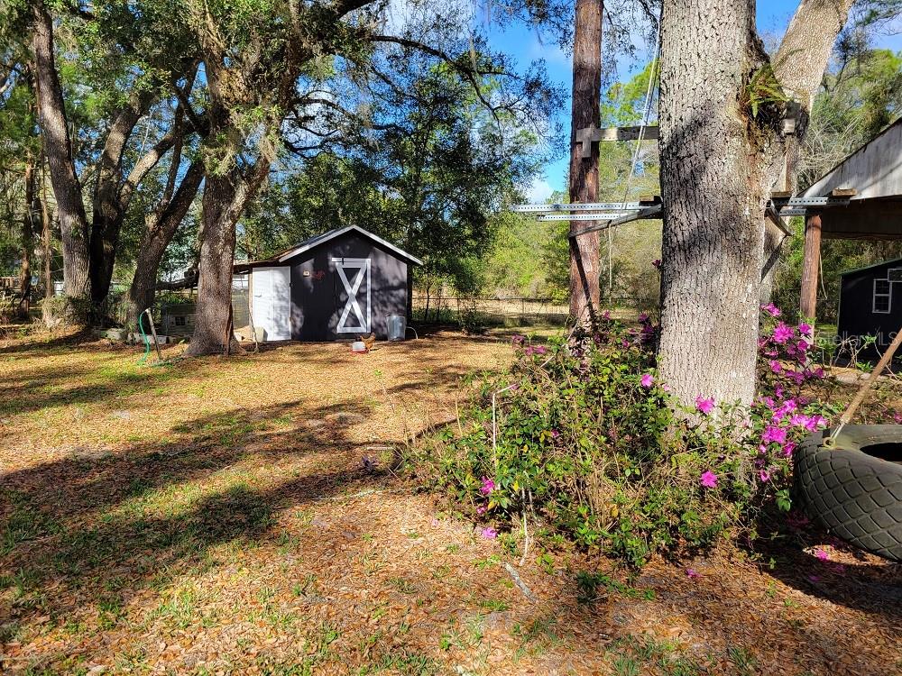 Image 32 of 36 For 34307 Shaffer Drive