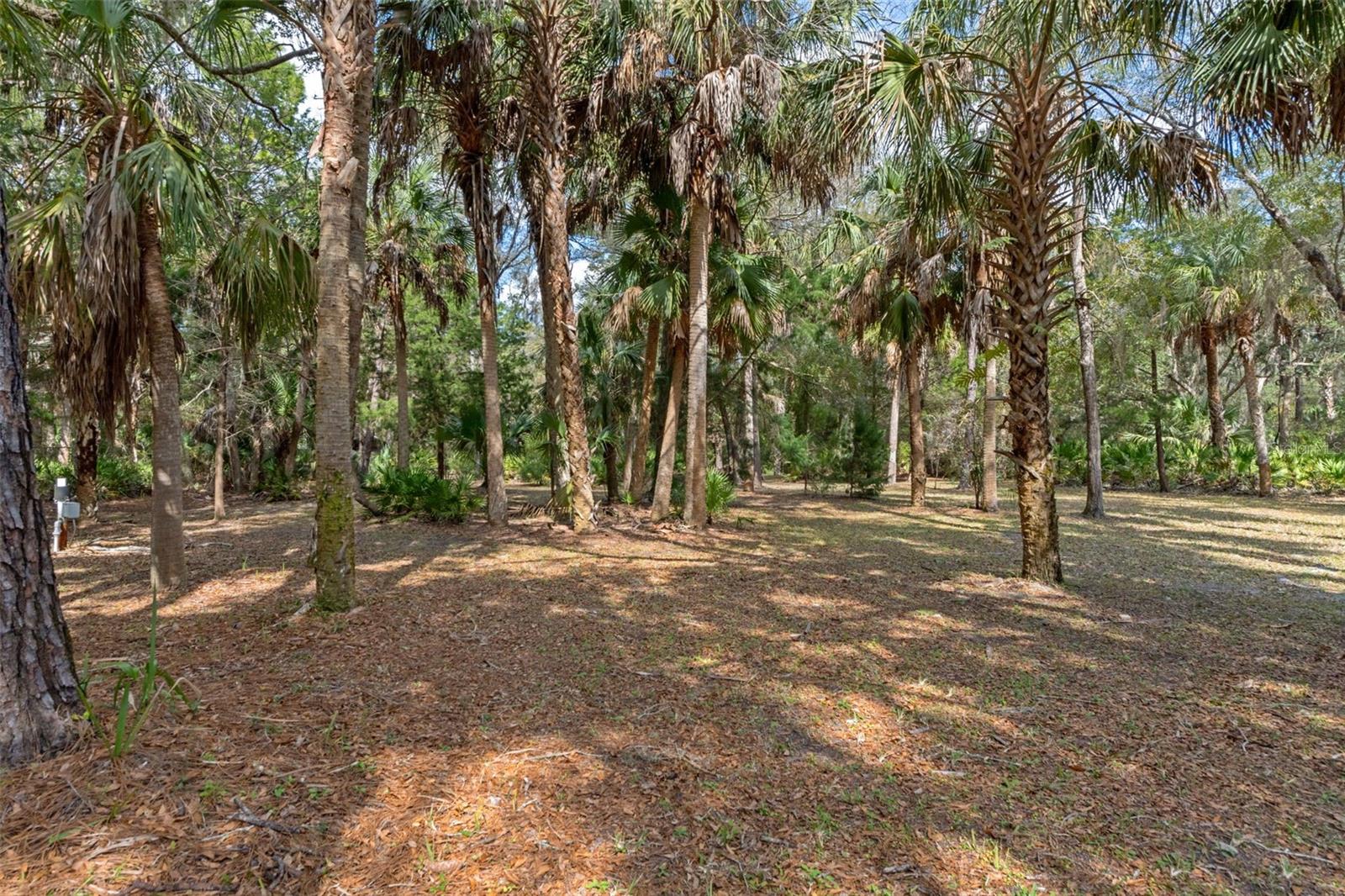 Listing photo id 61 for 35 Captains Cove Road