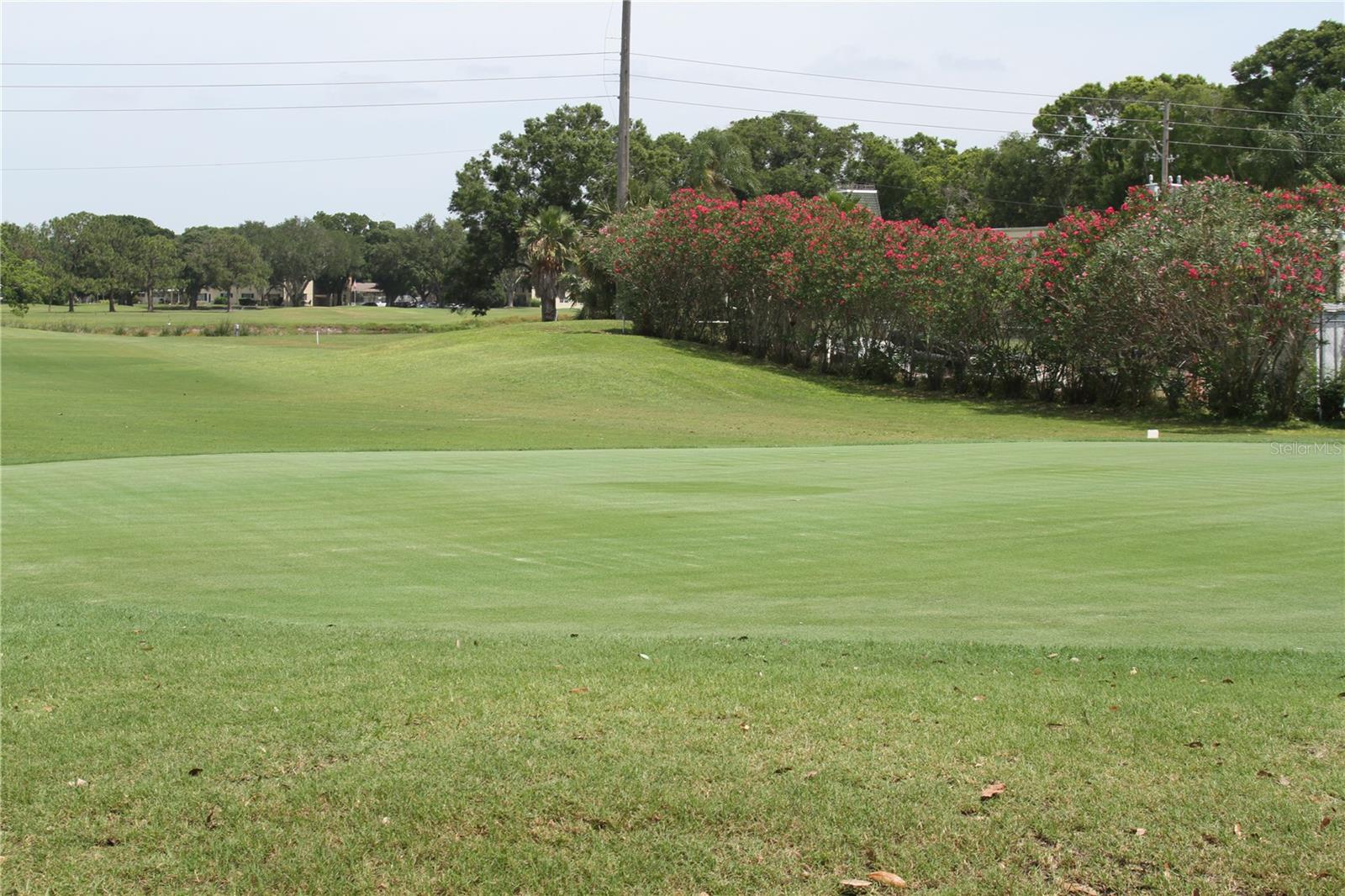 Image 42 of 77 For 2456 Ecuadorian Way 38