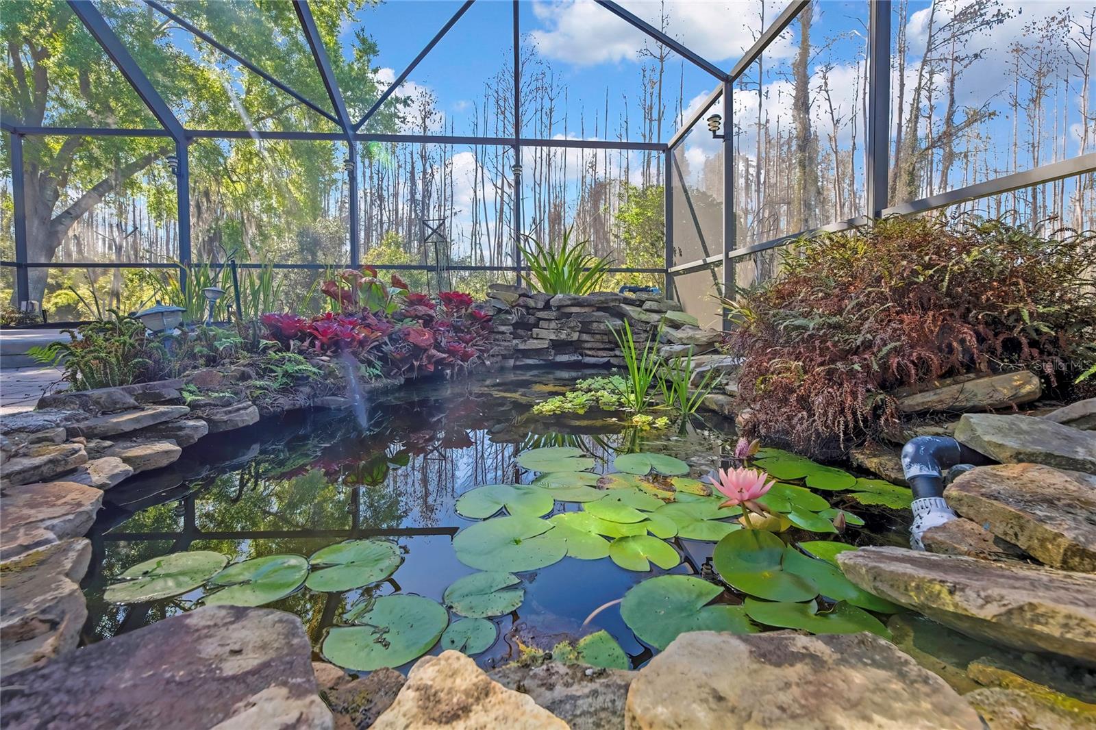 Image 40 of 66 For 20738 Nectarine Place