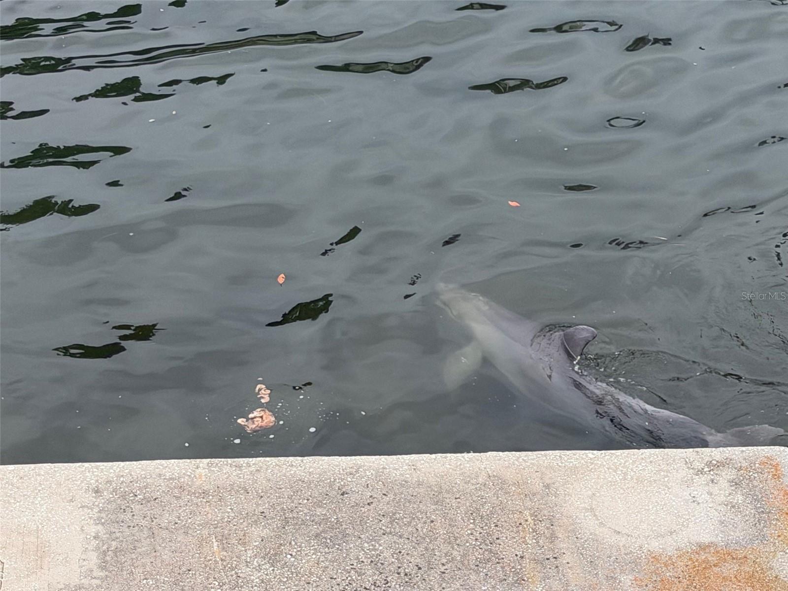 Image 13 of 13 For 6436 Driftwood Drive