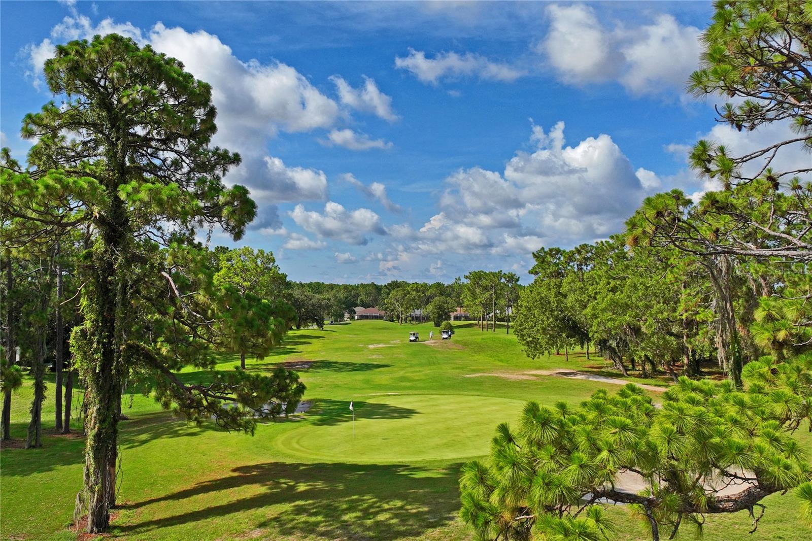 Image 73 of 73 For 14465 Middle Fairway Drive