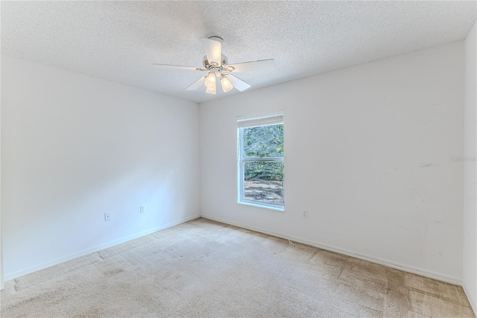 Image 31 of 47 For 8178 Pinehurst Drive