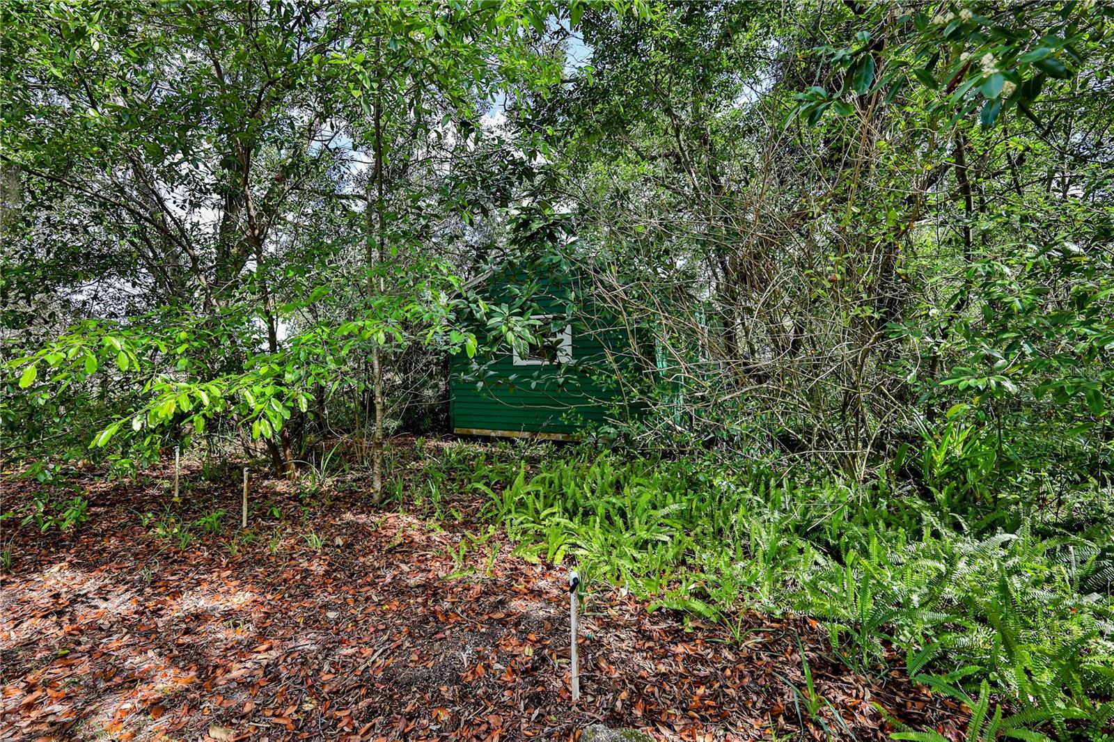 Image 39 of 47 For 8178 Pinehurst Drive