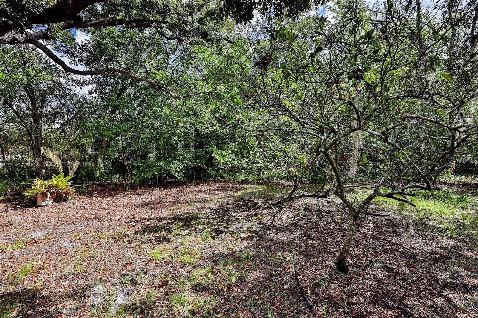 Image 42 of 47 For 8178 Pinehurst Drive