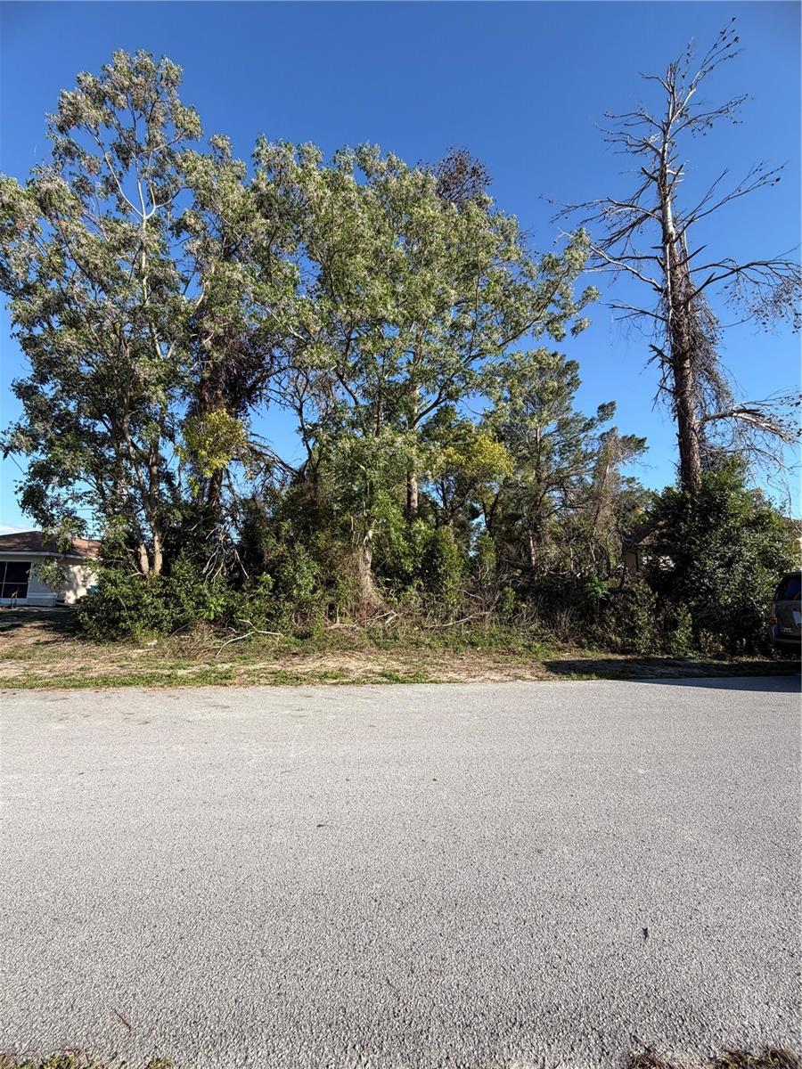 Image 5 of 5 For 11230 Montcalm Road